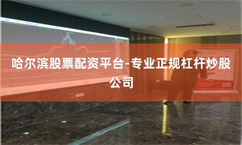 哈尔滨股票配资平台-专业正规杠杆炒股公司