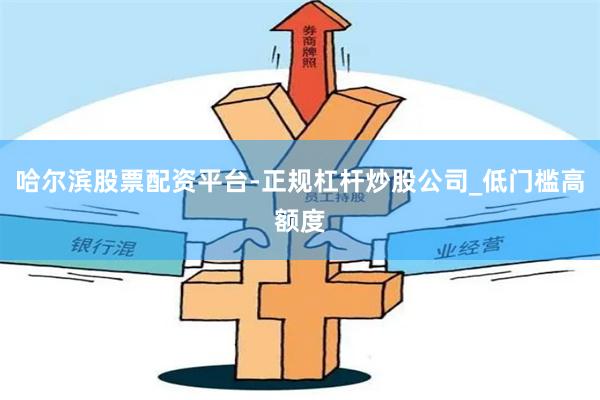 哈尔滨股票配资平台-正规杠杆炒股公司_低门槛高额度