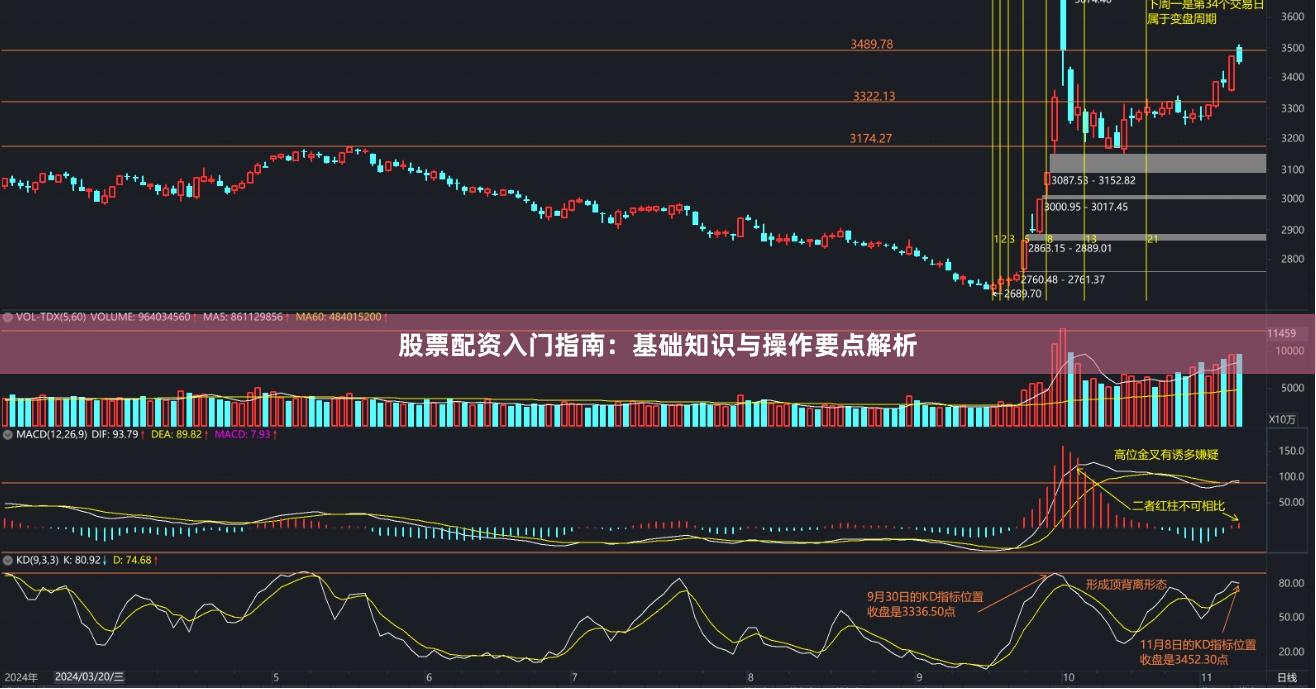 股票配资入门指南：基础知识与操作要点解析