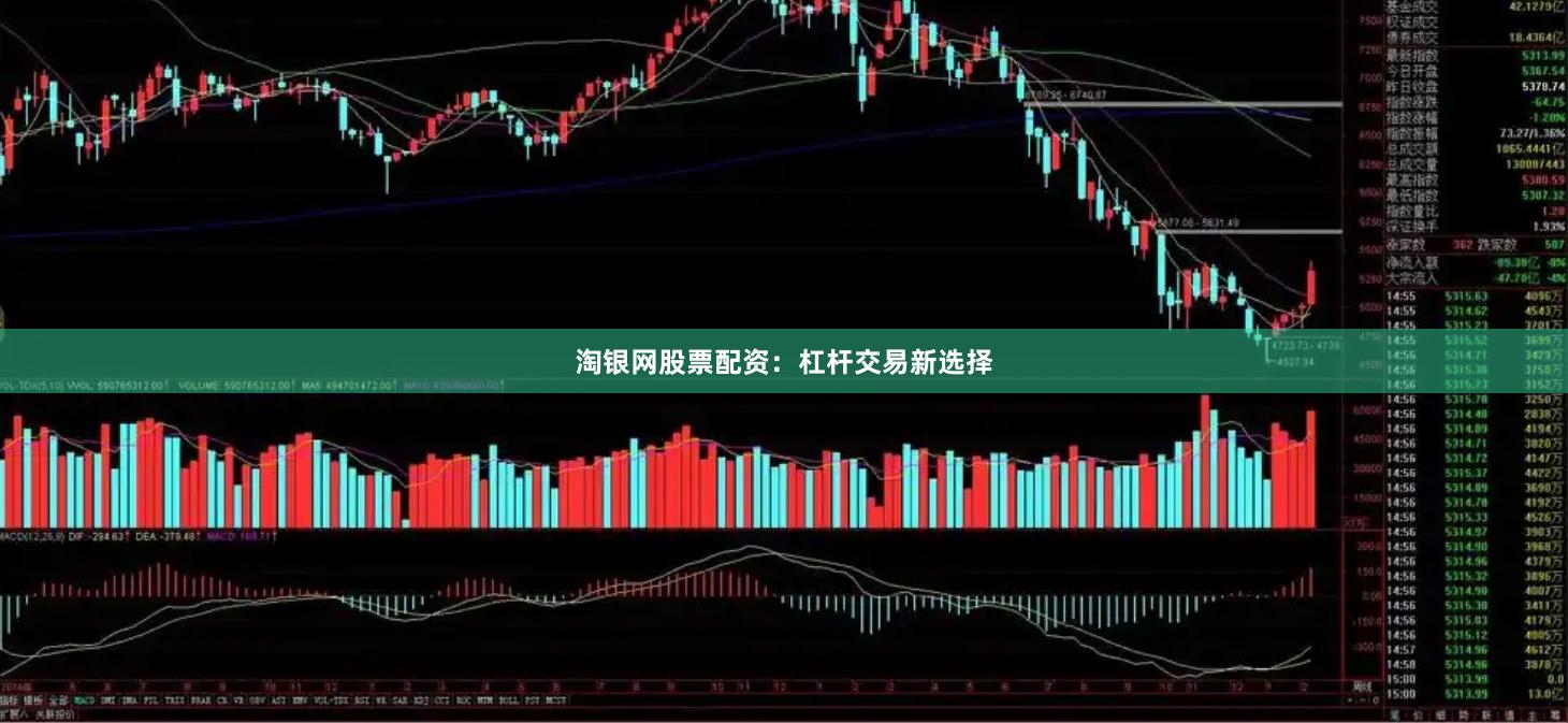 淘银网股票配资：杠杆交易新选择